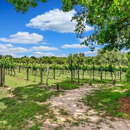 Hamilton Pool Vineyards & Farms Βίλα Hammetts Crossing Εξωτερικό φωτογραφία