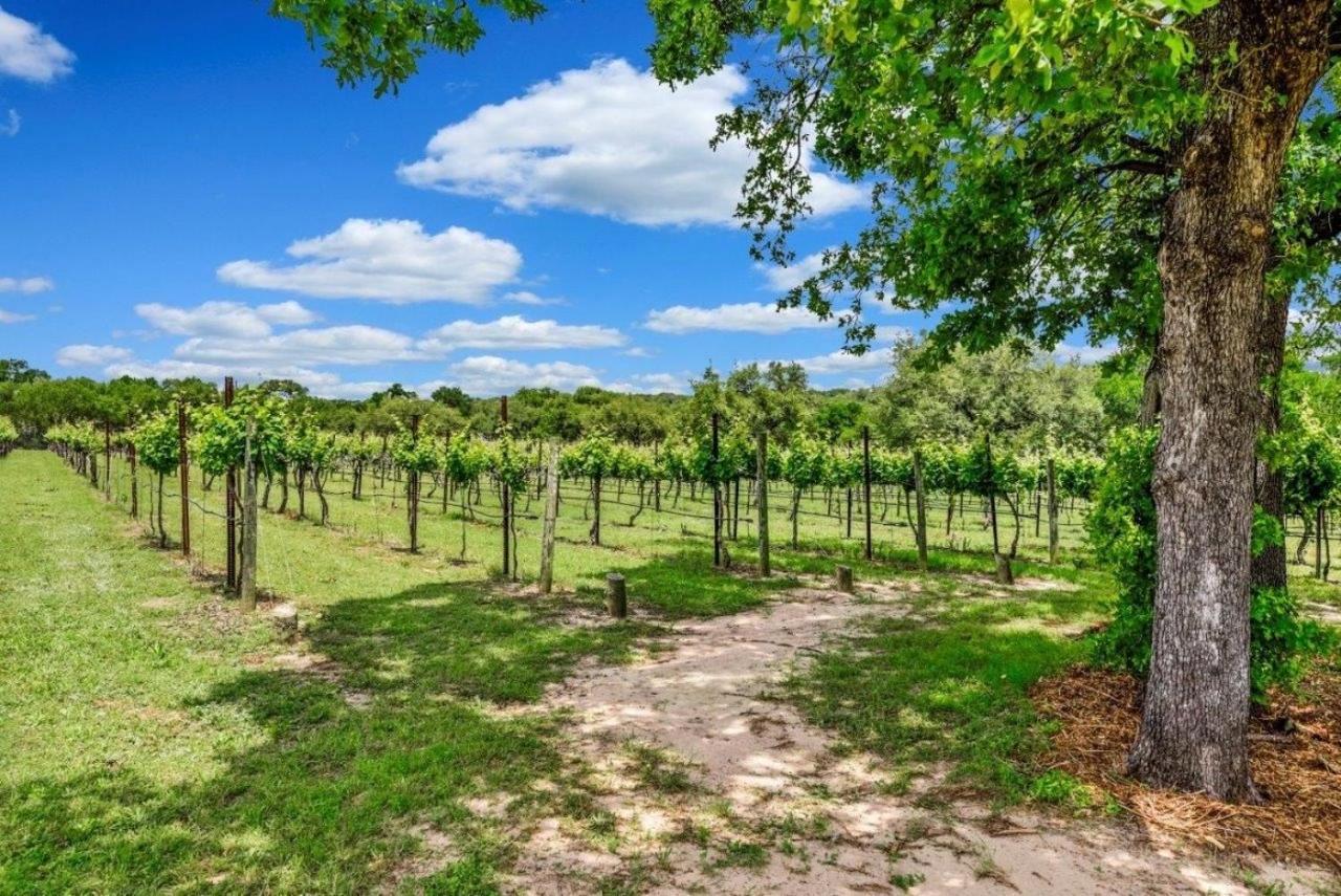 Hamilton Pool Vineyards & Farms Βίλα Hammetts Crossing Εξωτερικό φωτογραφία